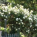 Familie Zimmermann קיוטשכן אם סי