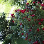 Familie Zimmermann בית נופש קיוטשכן אם סי