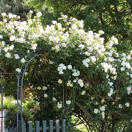 Familie Zimmermann Keutschach am See