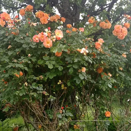 Familie Zimmermann * Keutschach am See