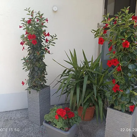 Familie Zimmermann *