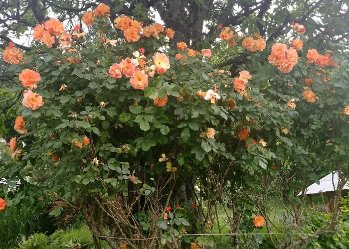 Familie Zimmermann * Keutschach am See