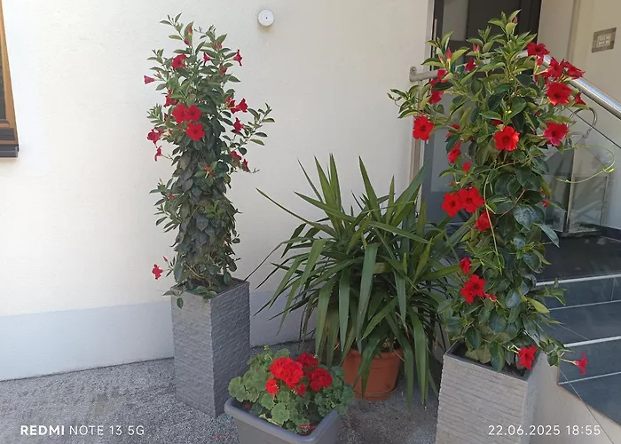 Familie Zimmermann *